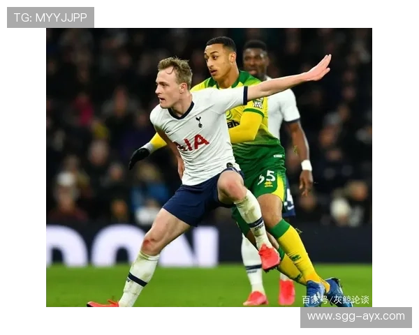 热刺未来规划：崛起之路，年轻球员成关键