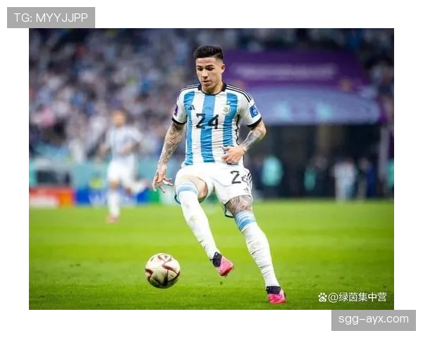 恩佐与麦卡利斯特:世界杯中场角色分工及战术影响力解析